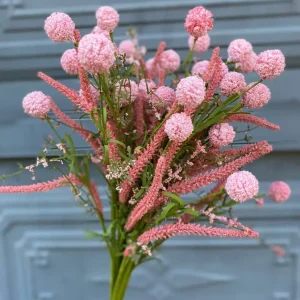 Bồ Công Anh Xốp