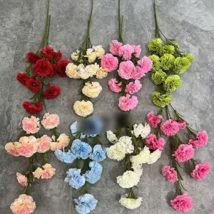 Cẩm Chướng Đại