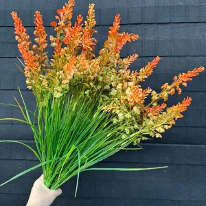 Cụm mõm sói đại