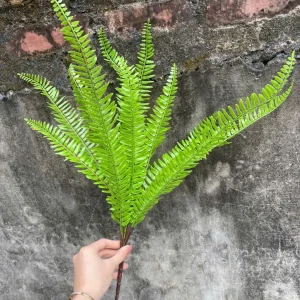 Dương Sỉ Mượt