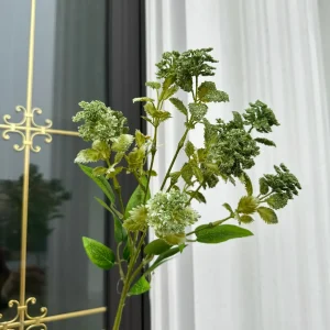 Điểm Tuyết Rơi