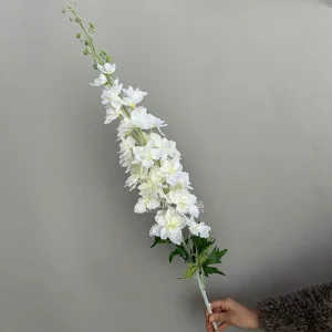 Phi Yến Khủng Long