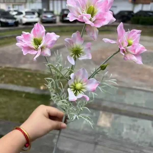 Thược dược kép thân mốc